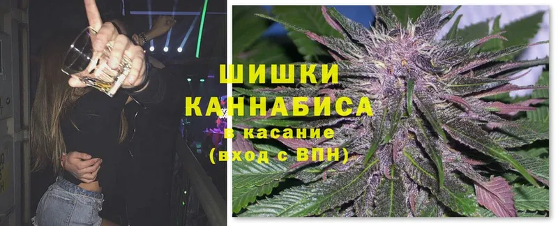 Бошки Шишки OG Kush  где купить наркотик  Зерноград 